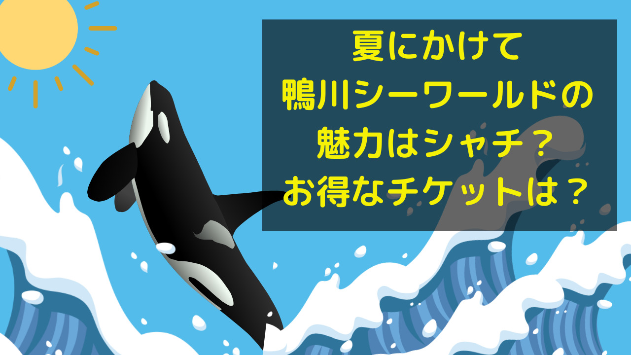 夏にかけて鴨川シーワールド魅力はシャチ？お得なチケットは？｜ちょこはぴバイブル